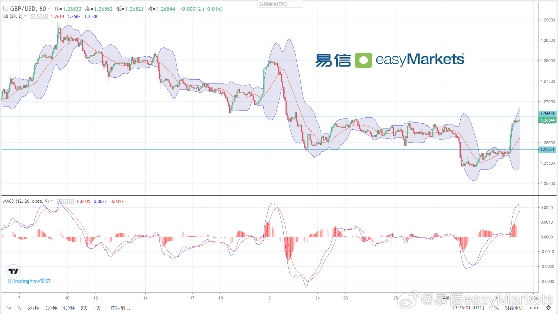 2024澳门特马今晚开奖53期,实地计划验证策略_钱包版56.104