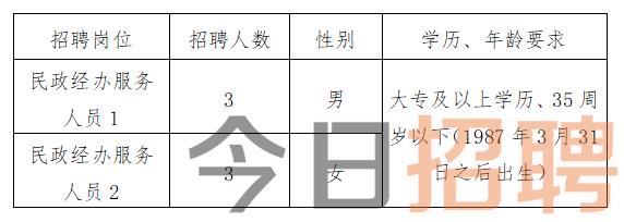 于田县统计局最新招聘信息全面解析，于田县统计局最新招聘信息全面解读与分析