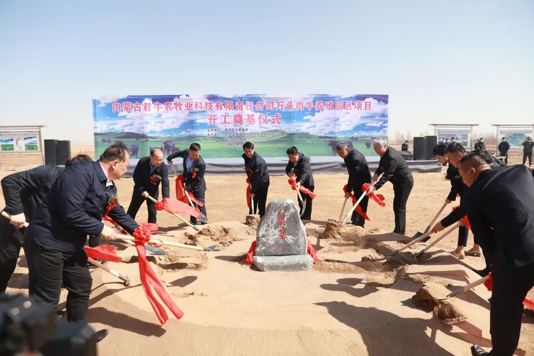 巴彦淖尔市旅游局最新项目，引领旅游业迈向新高度，巴彦淖尔市旅游局新项目引领旅游业腾飞，迈向发展新高度