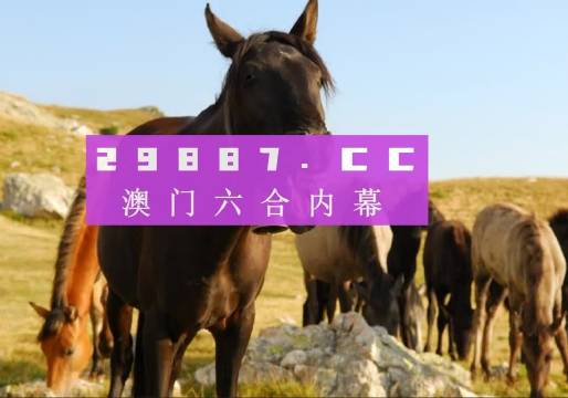 澳门管家婆一肖一码%精准,绝对经典解释落实_精英版201.123