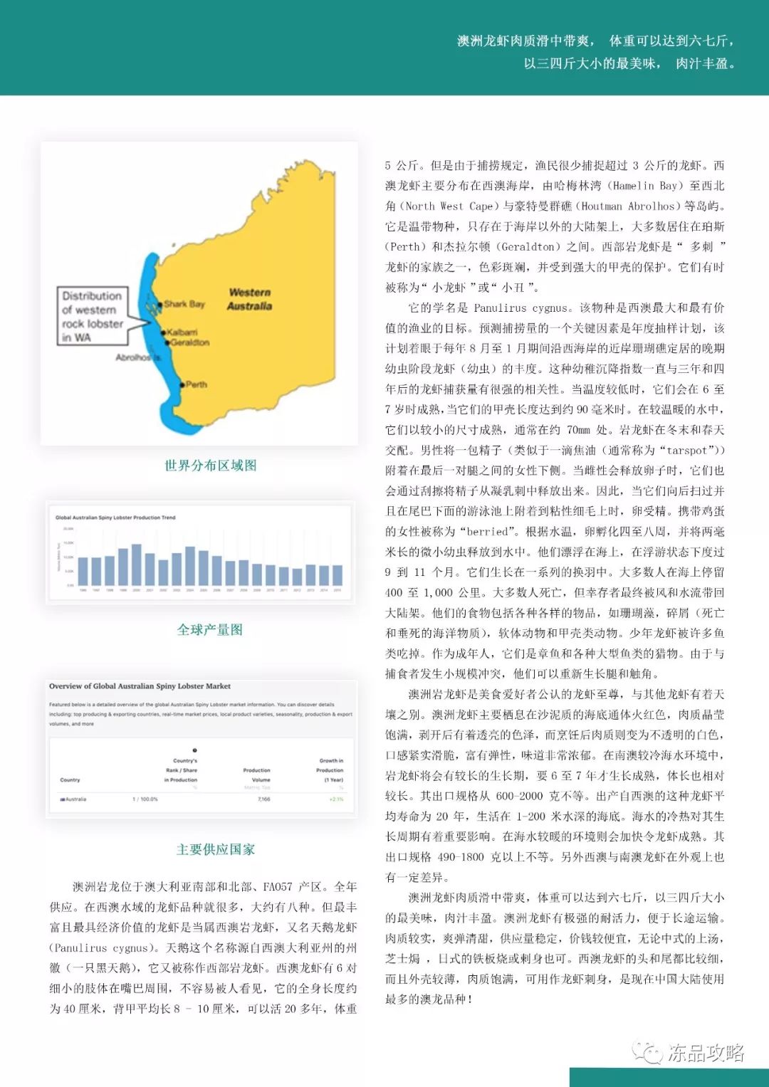 新澳精准资料免费提供网,现状分析说明_R版31.155