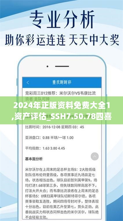 2024全年资料免费大全,实地策略计划验证_探索版69.504