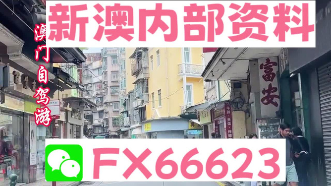 新澳精准资料免费大全,专业问题执行_尊贵版88.595