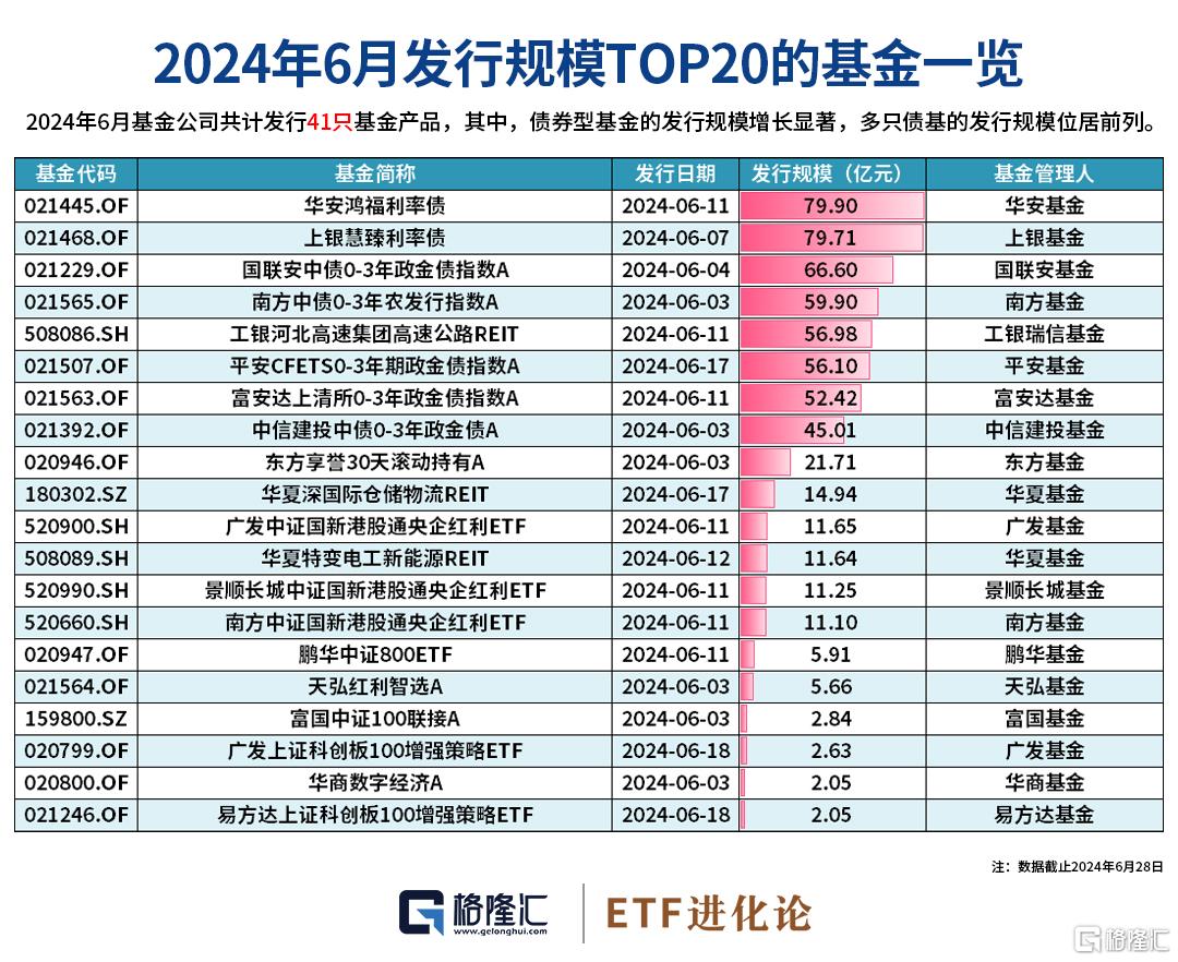 2024年新版49码表图,全面数据应用执行_专业款82.444