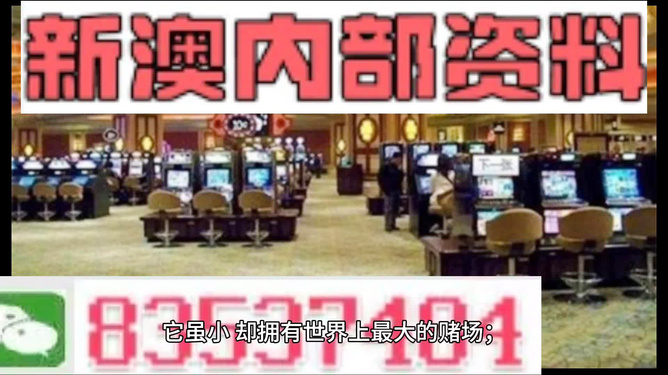 新澳门2024精准资料,确保成语解释落实的问题_完整版2.18