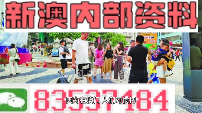 2024新澳精准资料免费大全,决策资料解释落实_Android256.183