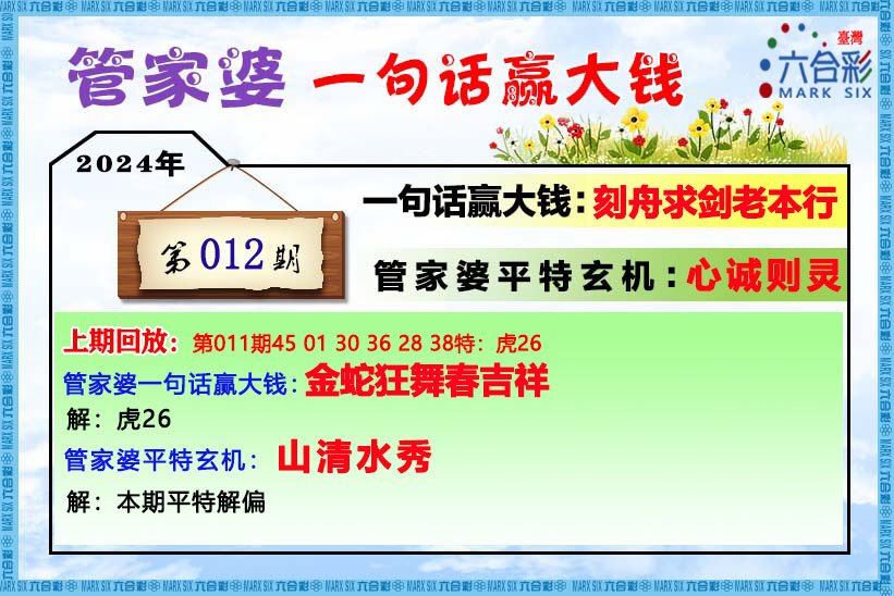 管家婆的资料一肖中特985期,详细解读解释定义_FHD66.407