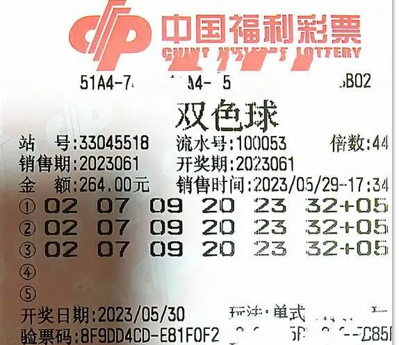 新澳门今晚开奖结果查询,高速响应解决方案_户外版47.568