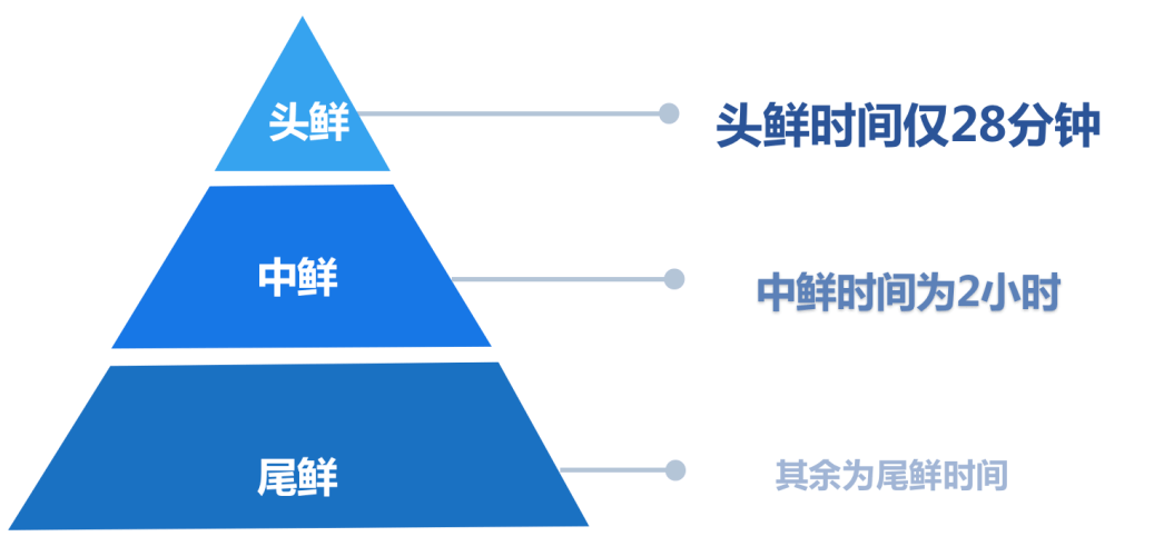 香港新澳门 最、正版-肖,精确数据解释定义_经典款12.405