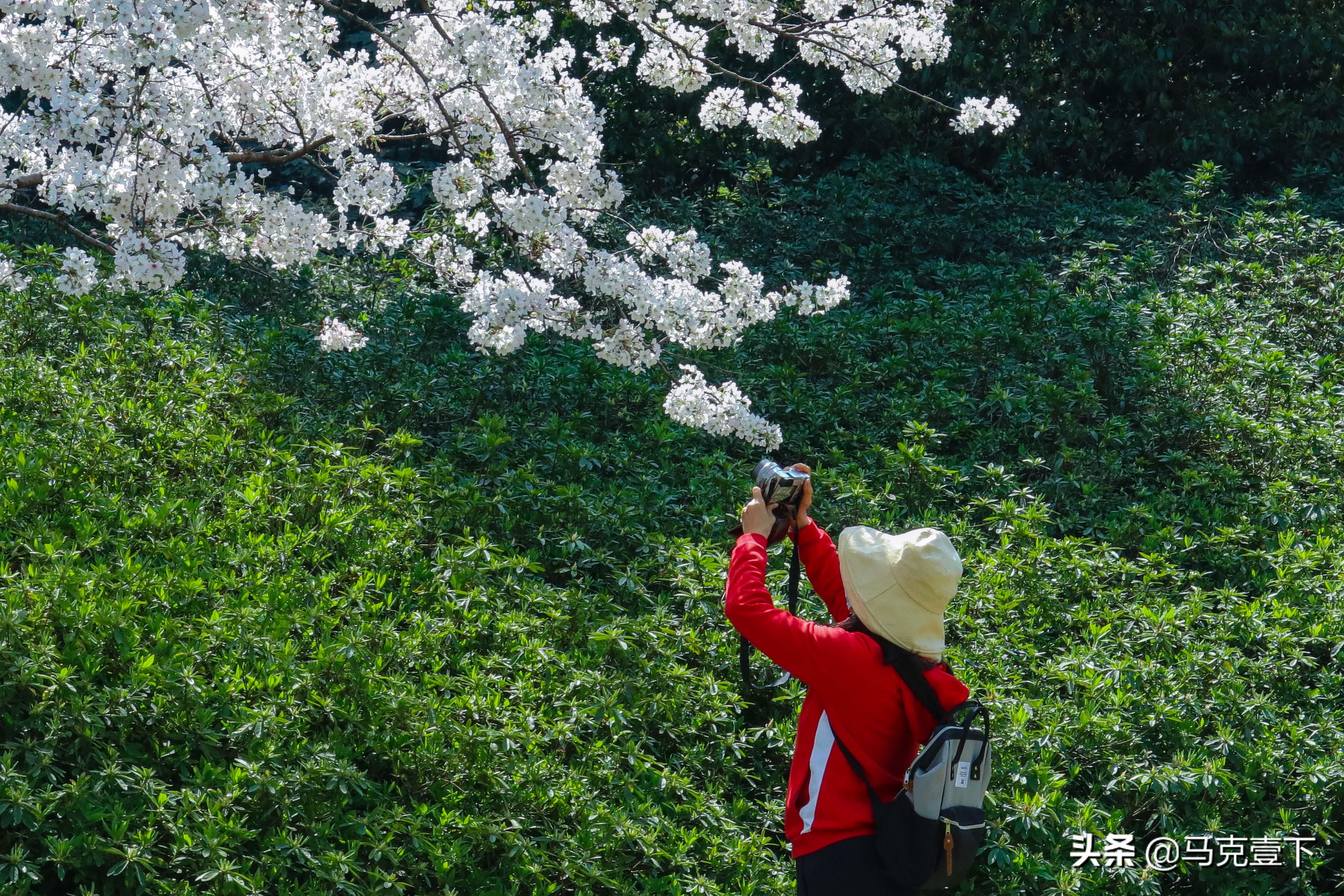 西湖街道最新天气预报，气象变化与日常生活息息相关，西湖街道天气预报更新，气象变化对日常生活的影响不容小觑