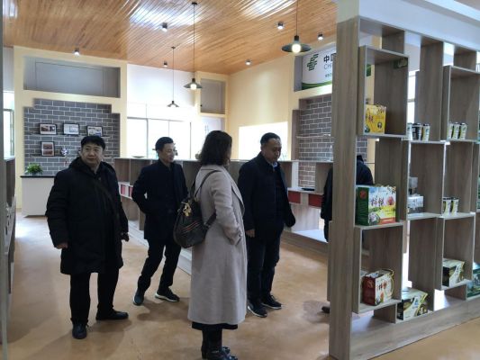 即墨市发展和改革局最新招聘信息概览，即墨市发展和改革局最新招聘信息汇总